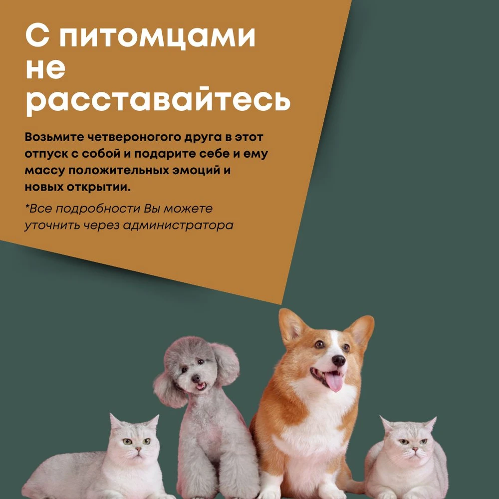 Гостиница Небуг
